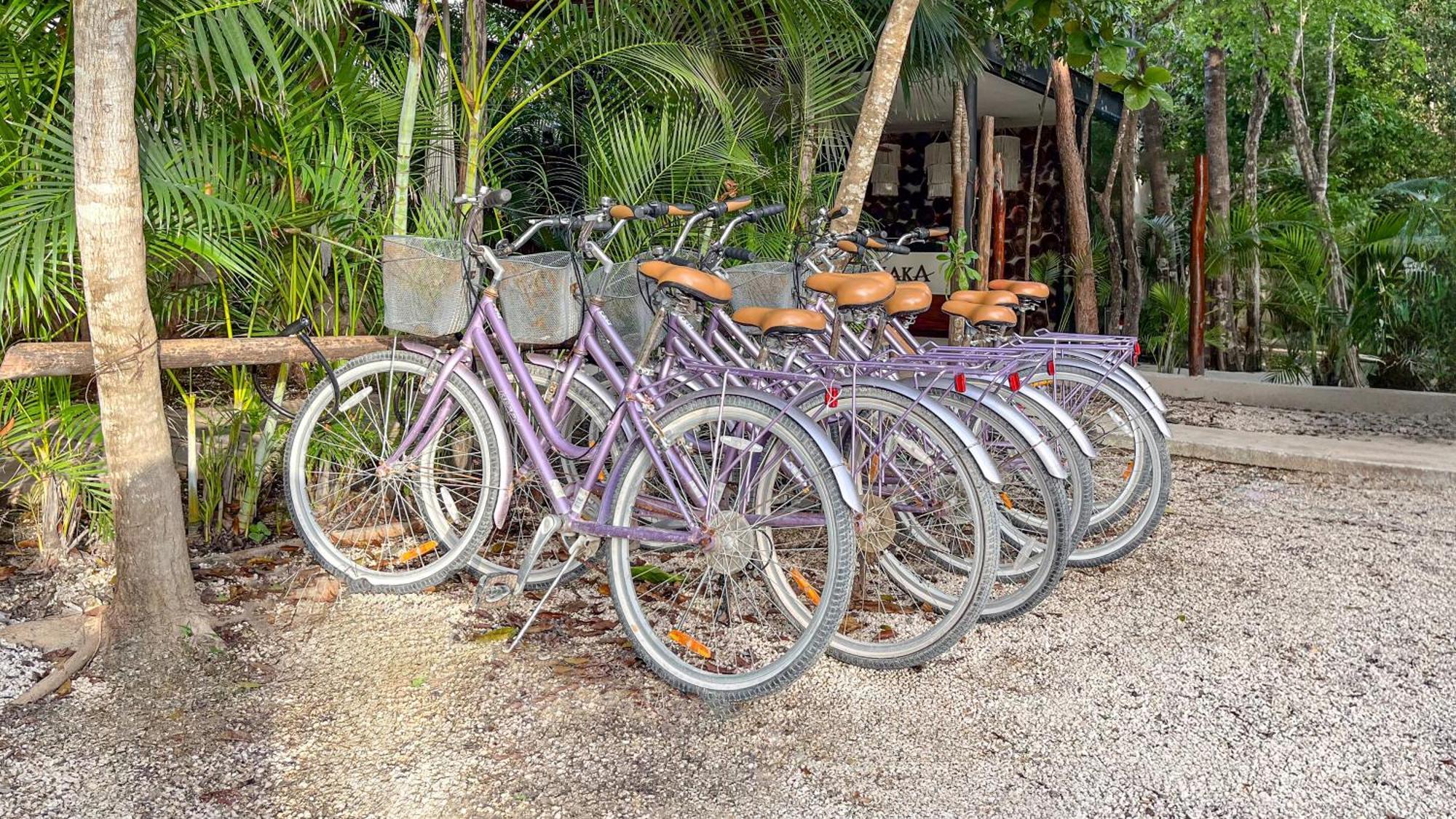Amaka Calma Riviera Tulum Otel Dış mekan fotoğraf